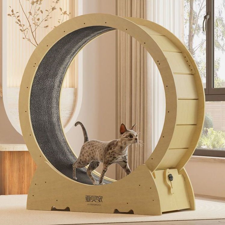 무소음 캣휠 고양이 러닝머신 챗바퀴 캣타워 캣워커 장난감