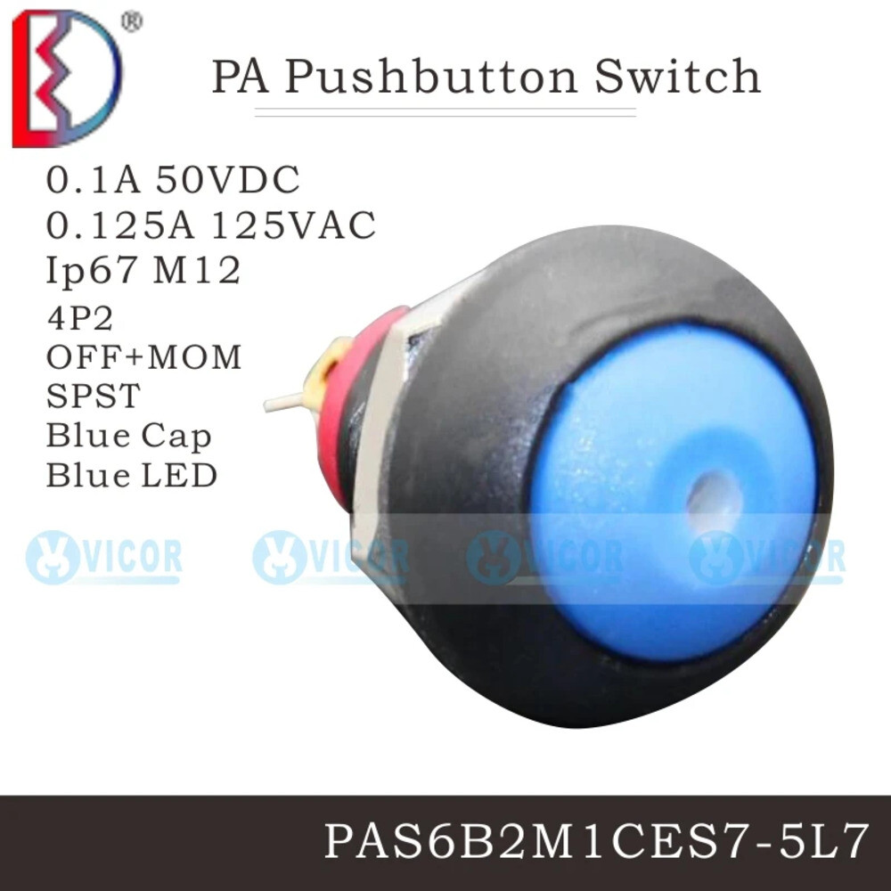 PAS6B2M1CES7-5 큰 파란색 블록 버튼 스위치 해들리