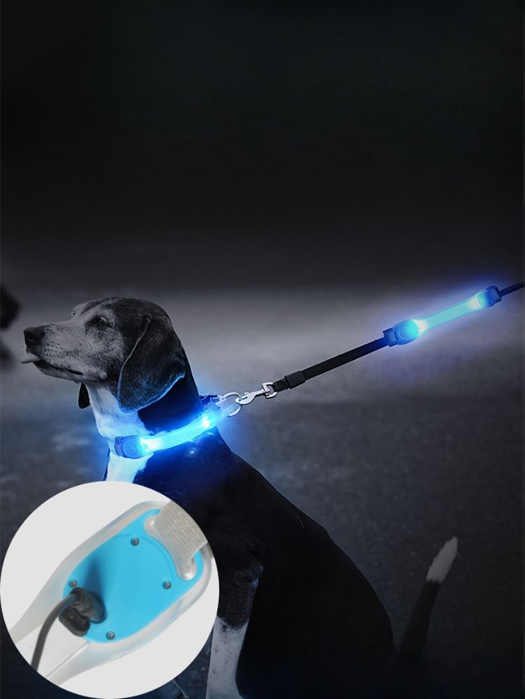 애완동물 LED 밤 산책 공원 강아지 애완견 안전 라이트 스트랩 목걸이 분실 방지 야간