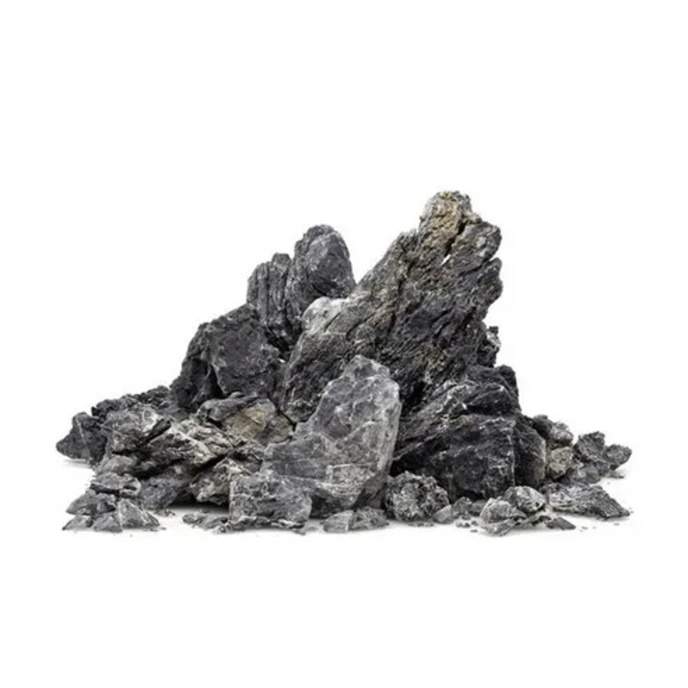 청룡액자 블루 드래곤 스톤 수족관 어항 풍경 자연 어라운드