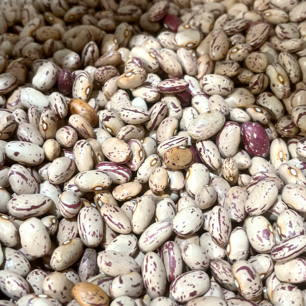 [오늘출발] 호랑이콩 5kg 수입 강남콩 매화콩 울타리콩 강낭콩