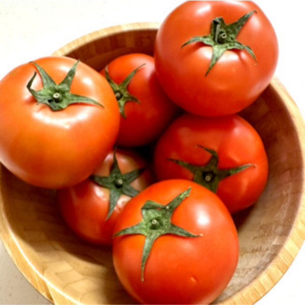 [오늘출발] 정품 유럽종 완숙토마토 최상품 당일수확 5KG