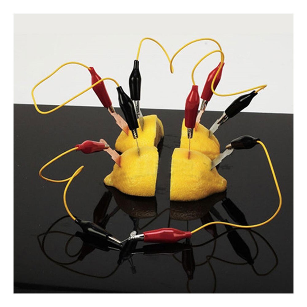 초등 전류실험 과일전지 발광아이오드 켜기 연계수업용 중등기관 초등기관 과학실습용