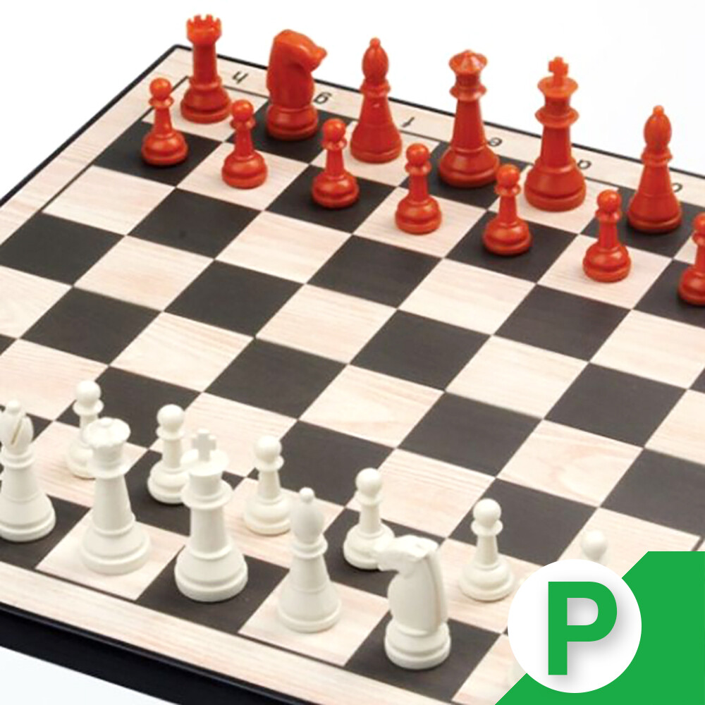 체스 세트 자석 게임 보드 말 판 용품 교육 연습 전략 규칙 대회 클럽 강좌