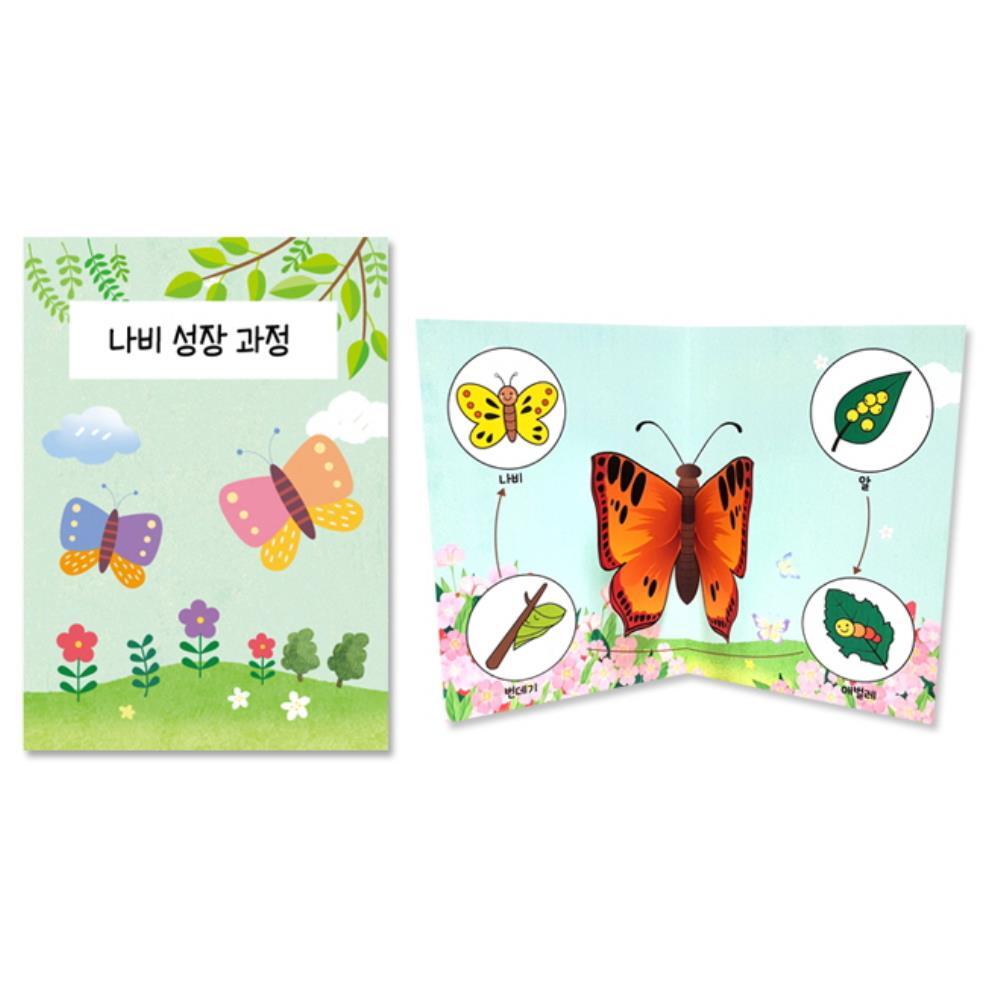 [오늘출발] 유아 자연과학 학습용 나비 입체북 만들기 5개 놀이치료