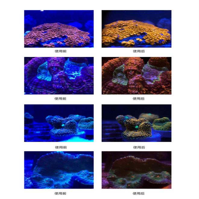 [오늘출발] 휴대폰 카메라 렌즈 필터 색상 향상 매크로 어항 수족관 산호 사진 6 in 1 직송
