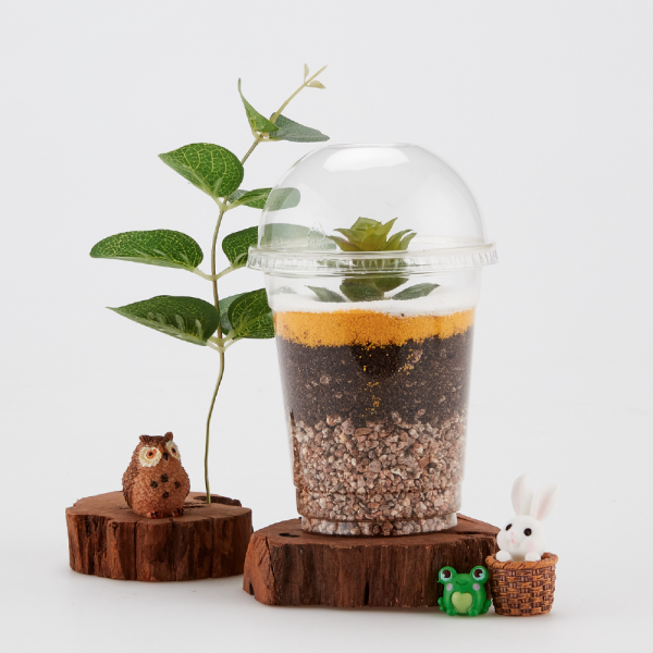 AR 초등 환경교육 교구 다육이 테라리움 만들기 STEAM 식목일 키트_컵포함