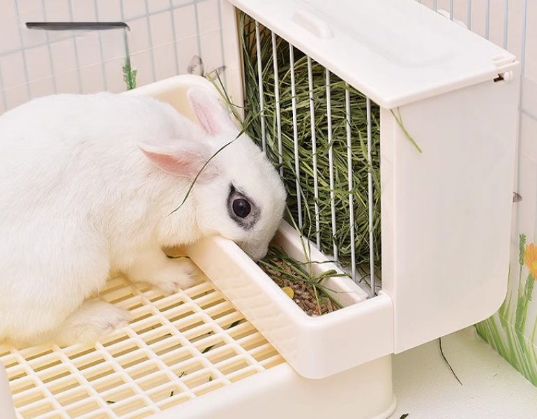 애완용 수입 탈착식 식기 기니피그 용품 토끼 통 건초렉 기타