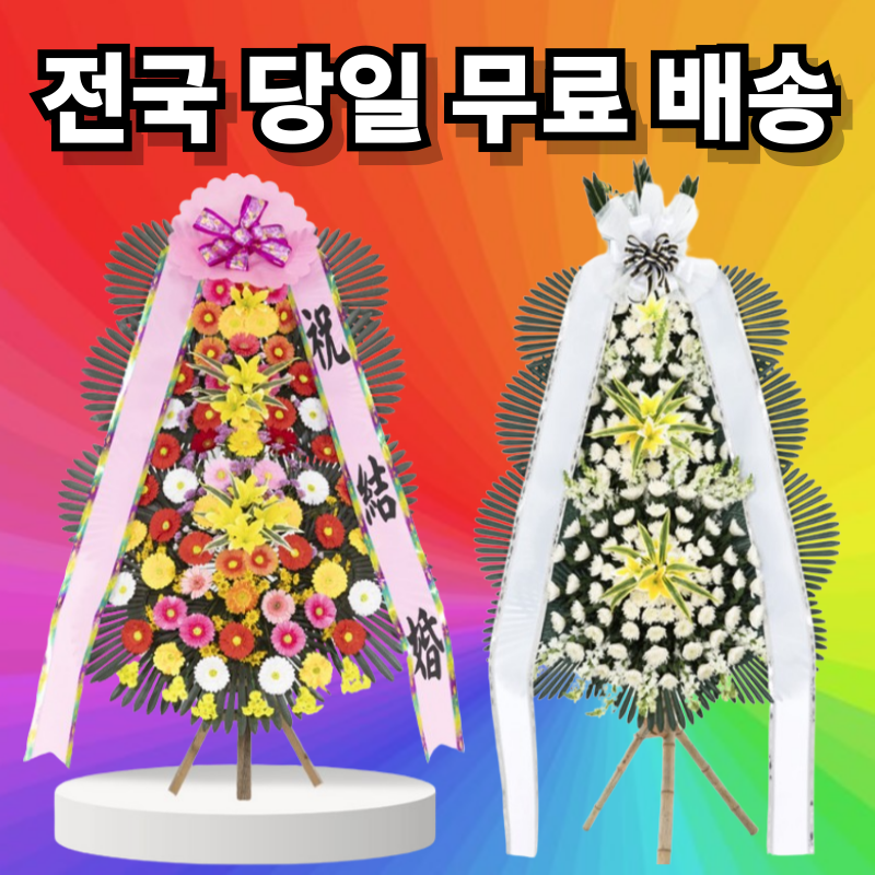 [오늘출발] 당일배송 빠른배송 고급형 축하 근조 화환 상서동 진천 송도동 범물동 화환3단 근처 예쁜화환