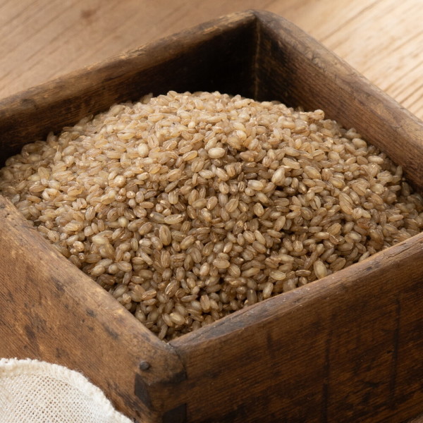 싸리재  3번 찐 유기농 늘보리 1kg  부드러운 보리밥 죽