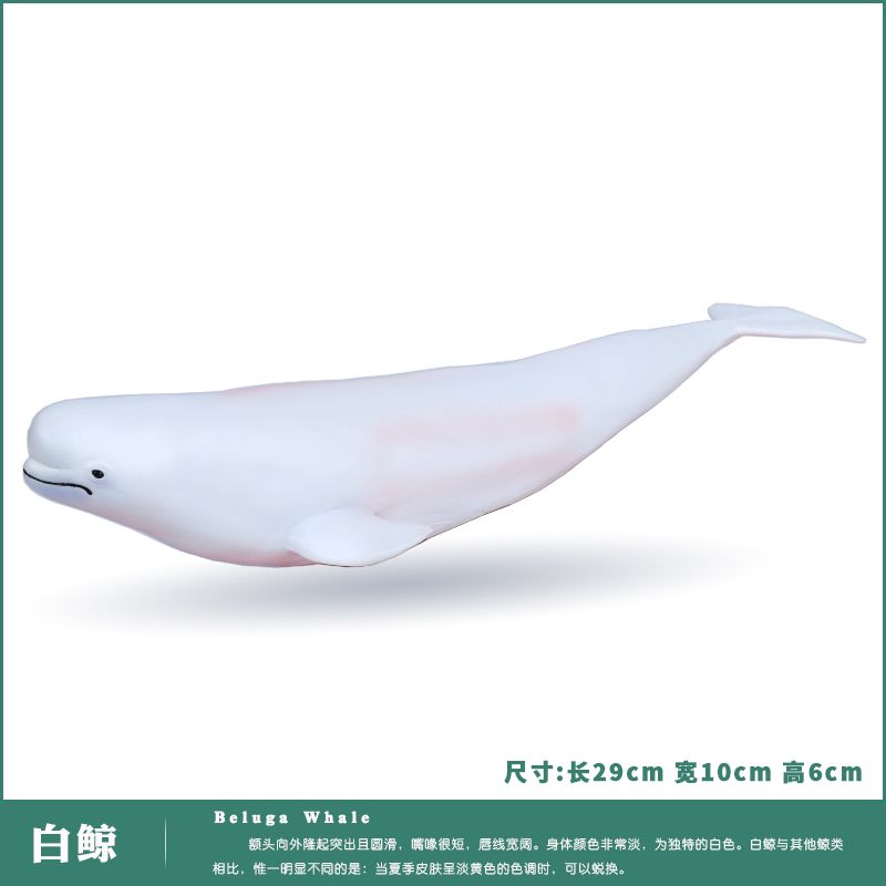 해양동물 바다동물 물개 거북이  풍선 에어풍선 에어바운스 벨루가