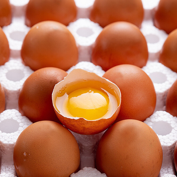 파손보상 유정란  60구 난각번호 1번 (HACCP인증/무항생제 인증)