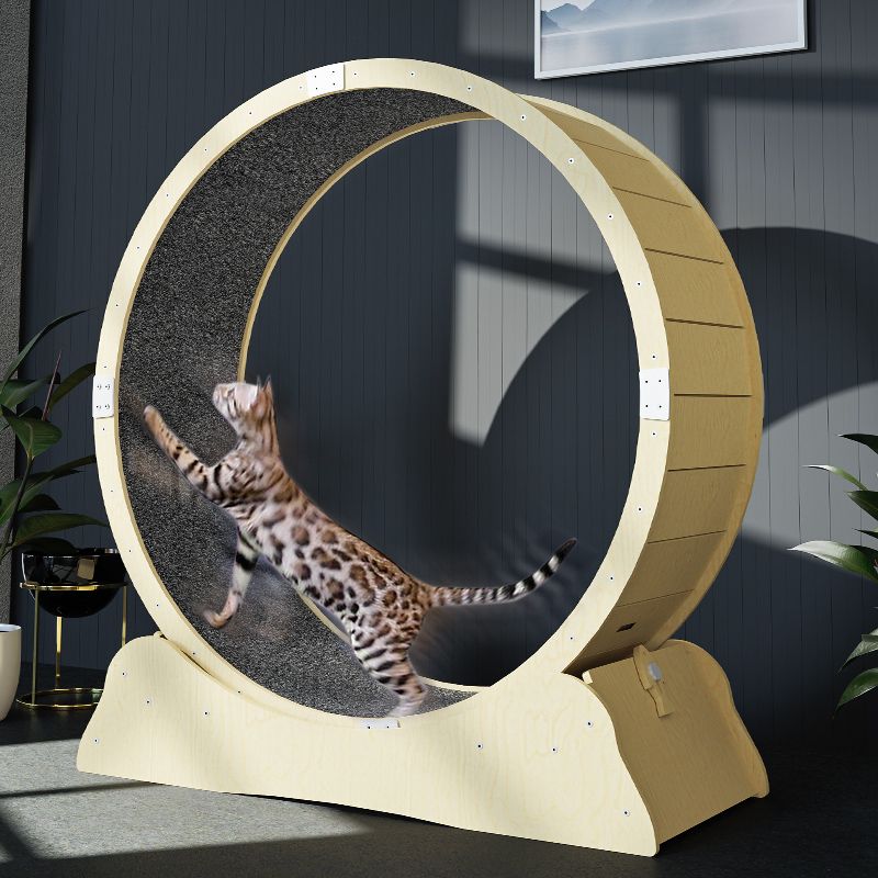 고양이 캣휠 무음 캣 유산소 등반 장난감 롤러 원목 프레임 휠