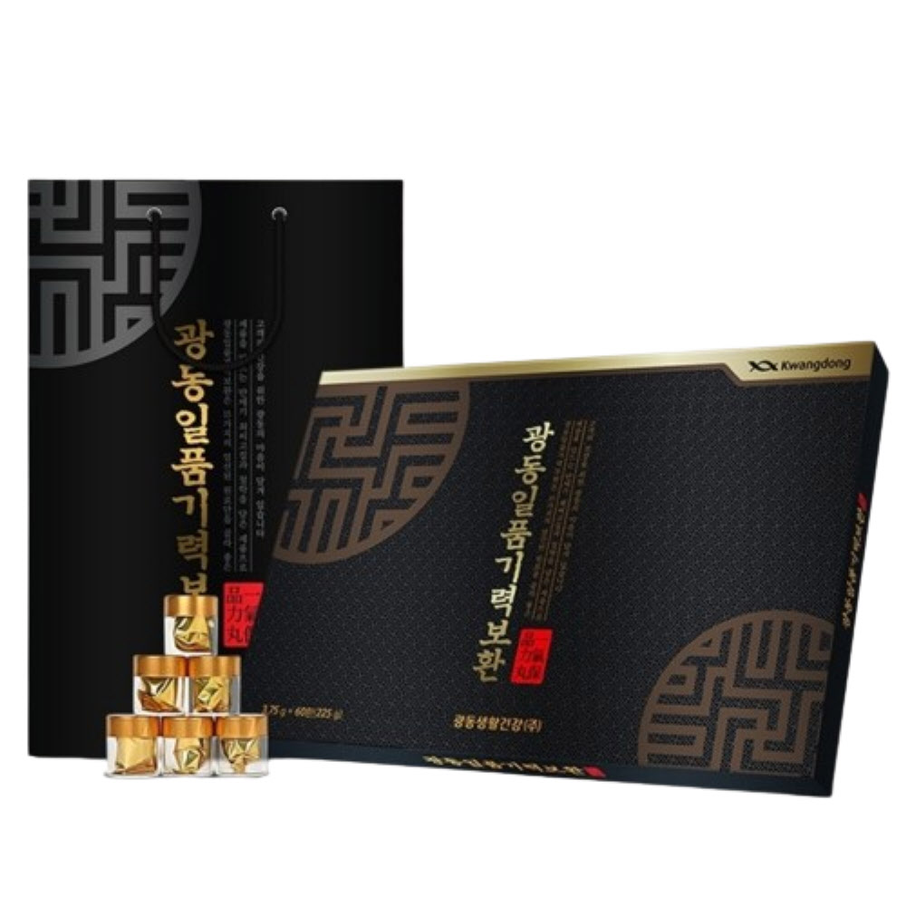 공진당 기력한약 기력한약 보약환 60환 선물세트