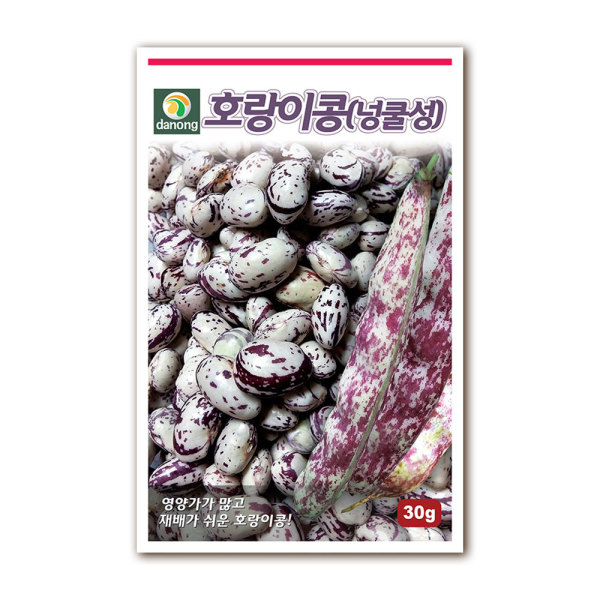 [오늘출발] 다농 호랑이콩(넝쿨성) 씨앗 30g (영양가/쉬운재배)