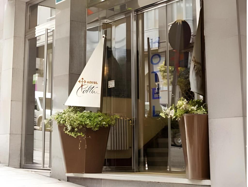 | Vigo | 호텔 셀타