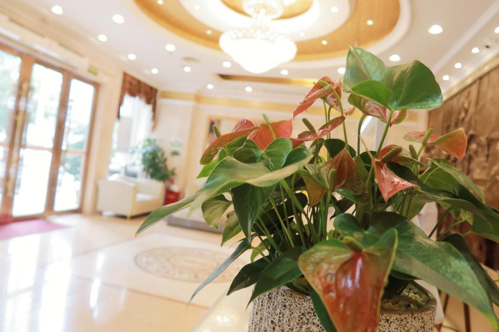 [해외] | Shenzhen | Harveyyi Internationality Hotel (Shenzhen Dongm...