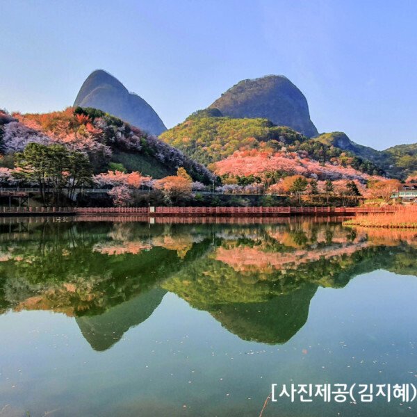 진안 마이산 탑사 부귀 메타세콰이어길 전주한옥마을 당일여행