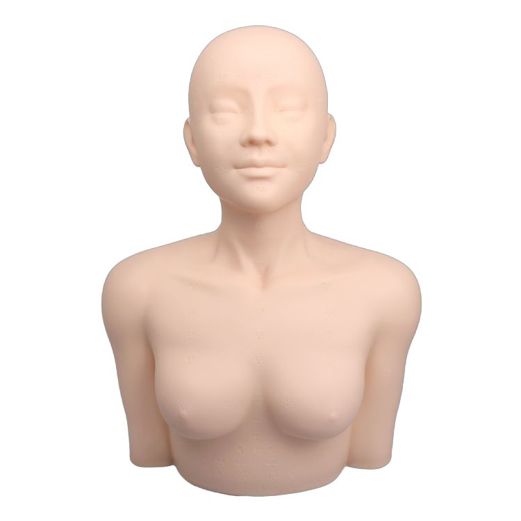 미용 마사지 연습 실습용 미용실 관리 피부관리 웃는연습 동대문마네킹 속눈썹 실기 마네킹