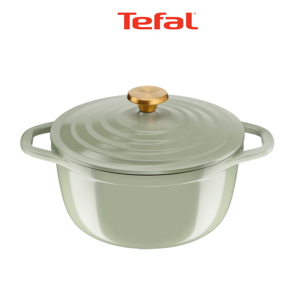 테팔 테팔 인덕션 세라믹 에어 주물냄비 페어그린 24cm