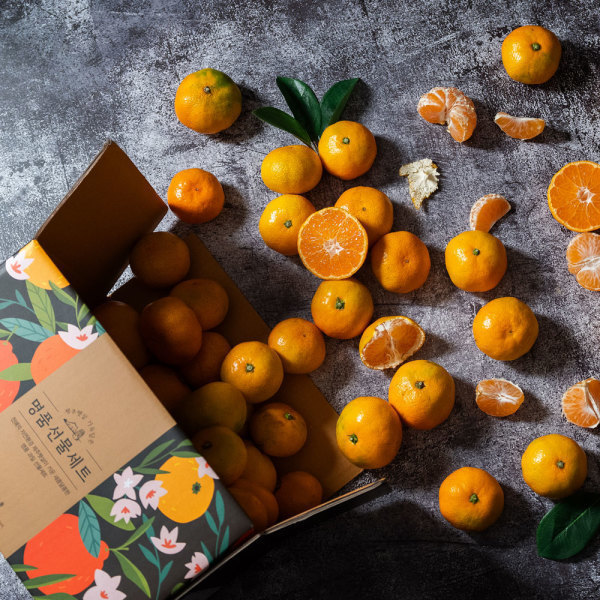 (신선집중) 새코롬 고당도 감귤 조생 4.5kg 중대과(M-L)