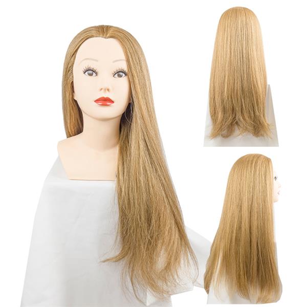 [오늘출발] 천혜사 U22 상반신 마네킹 업스타일 MDW-U22갈색