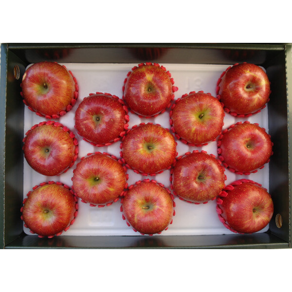 [오늘출발] 주왕산 털보네 사과 추석 설날 선물세트 5kg 맛있는 털보네 부사