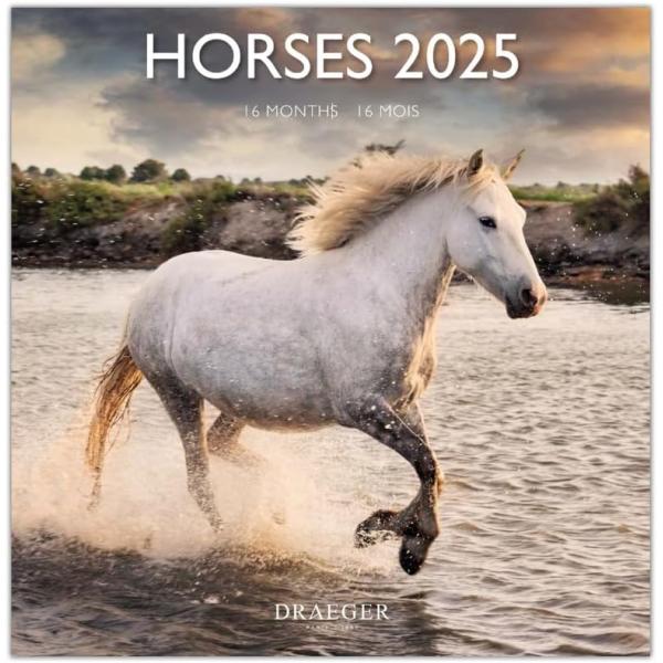일본 직배송 Dreisure 2025 대형 달력 HORSES 경마 동물 벽걸이 일정 사진 휴일 스티커 포함