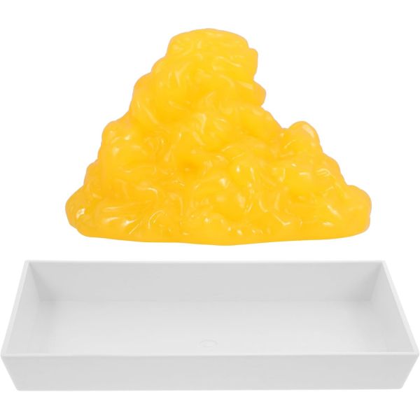 iplusmile 인체 모형 해부 아이플러스마일 지방 모델 1파운드 복제품 학생용 조직 시연 해부학적 피트니스