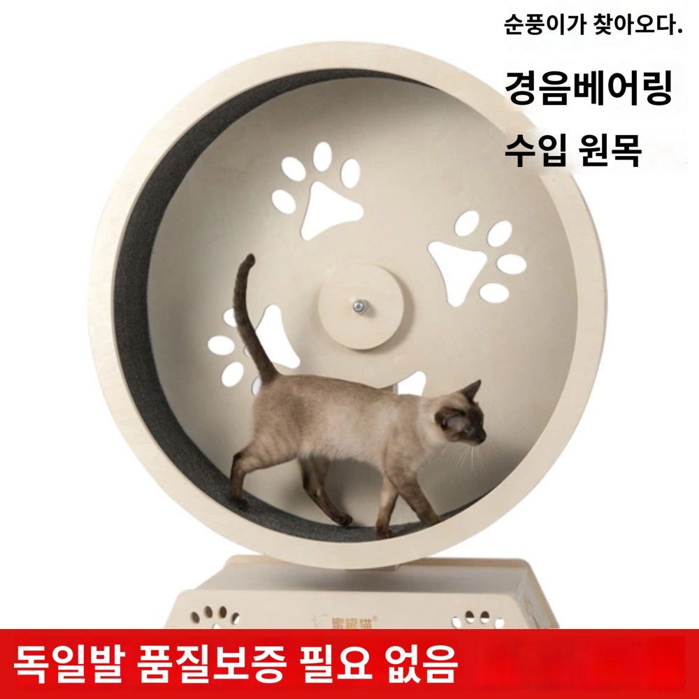고양이캣휠 캣휠무소음 고양이런닝머신 고양이켓휠 캣휠 캣휠추천 무소음캣휠 캣고양이가좋아하는