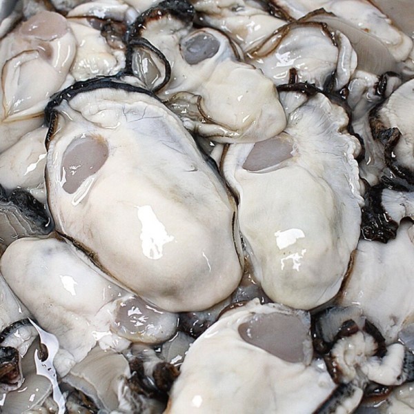 [오늘출발] 통영 생굴 1kg