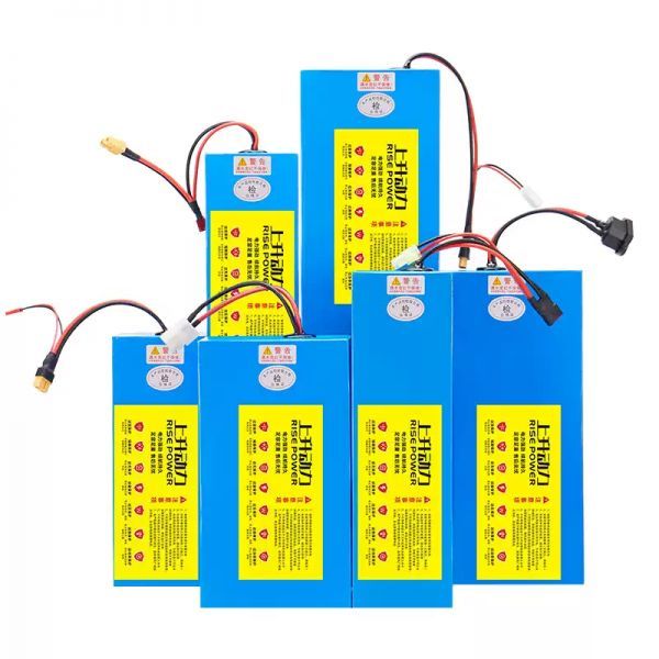 전기 자동차 스쿠터 리튬 배터리 24v36v48v 운전사 접이식 자전거 은붕어 모델 내장 바다 바