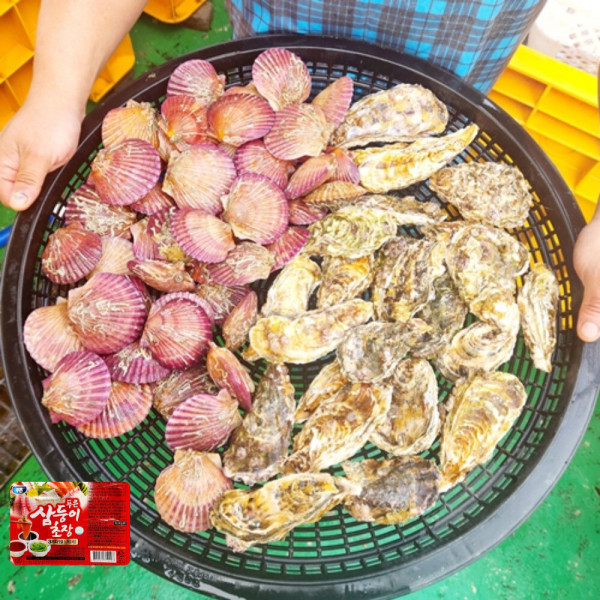 [오늘출발]통영 석화 홍가리비 세트 구이 찜 10kg 구성