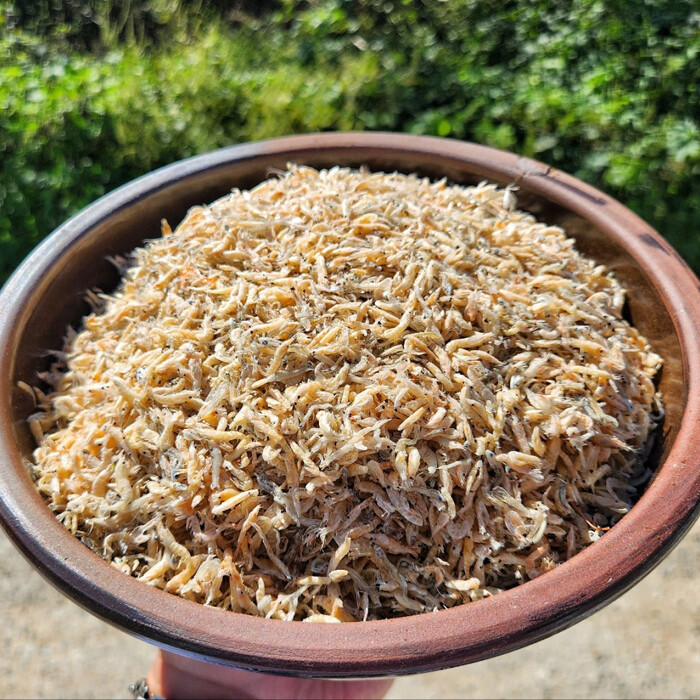 국내산 서해 밥새우 1.5kg (새우멸치혼합)