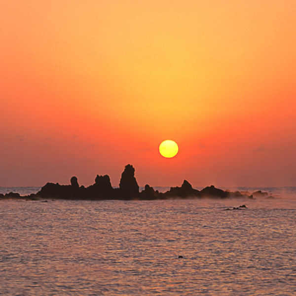2026 울산 대왕암 일출_대왕암 출렁다리+십리대숲/해돋이여행/당일국내여행/일출여행/무박여행