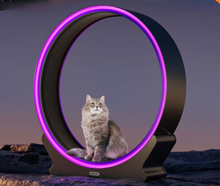 고양이런닝머신 지능형 침묵 애완 동물 대형 용품 캣휠 무소음 트레드밀 쳇바퀴