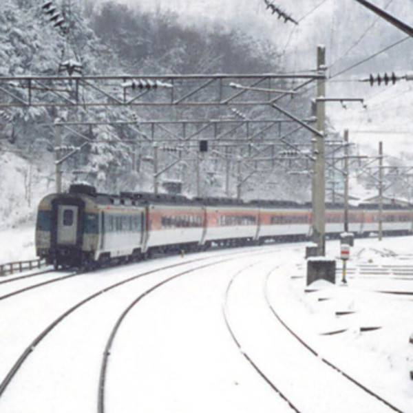 칙칙폭폭~ 영월~태백 환상선 눈꽃열차여행(정암사 황지연못 청령포 선돌)