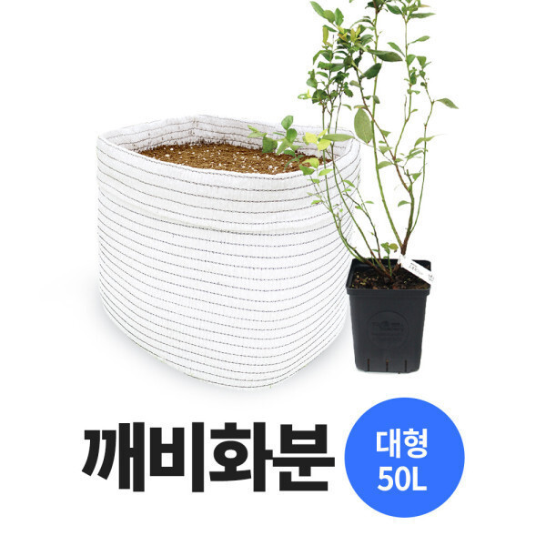 [오늘출발] 블루베리 화분 숨쉬는 화분 가정용 화분(50L) 분갈이 화분