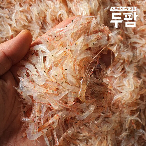 [오늘출발] 옹진 소래포구 당일경매 김장용 생새우 2kg 급랭