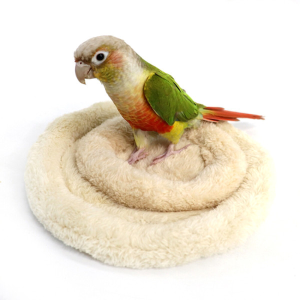 [오늘출발]따끈 포근 앵무새 방석 극세사 침대 포치 L 새용품