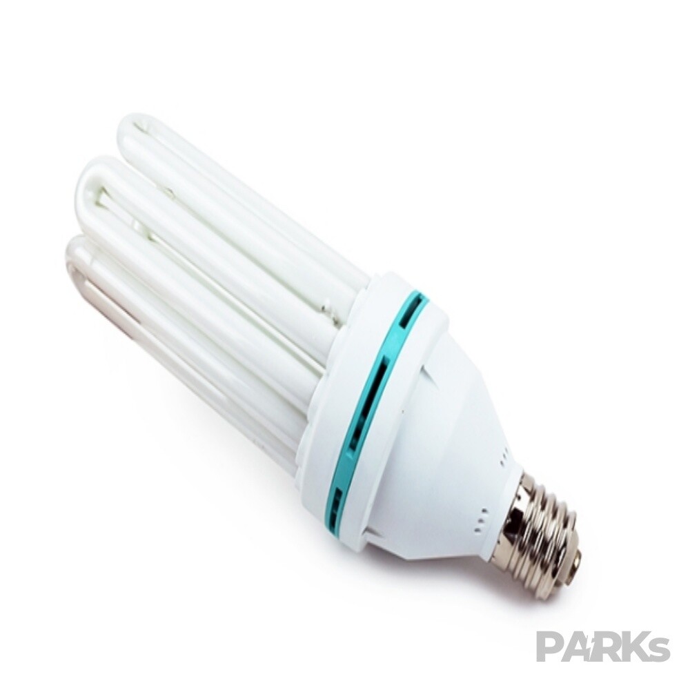 [오늘출발] 박스(PARKS) 상점 고와트 삼파장 100W 램프 주광색램프 형광등 삼파장조명 형광램프