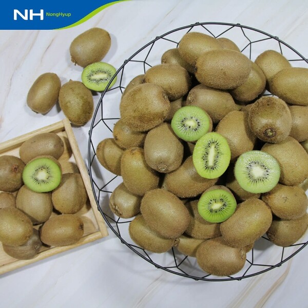 순천농협 그린키위 10kg(쥬스용)/ 실중량