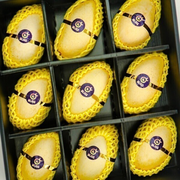 [오늘출발]골드망고 고당도 프리미엄 망고 선물세트 항공수입 당도선별  무관세특가