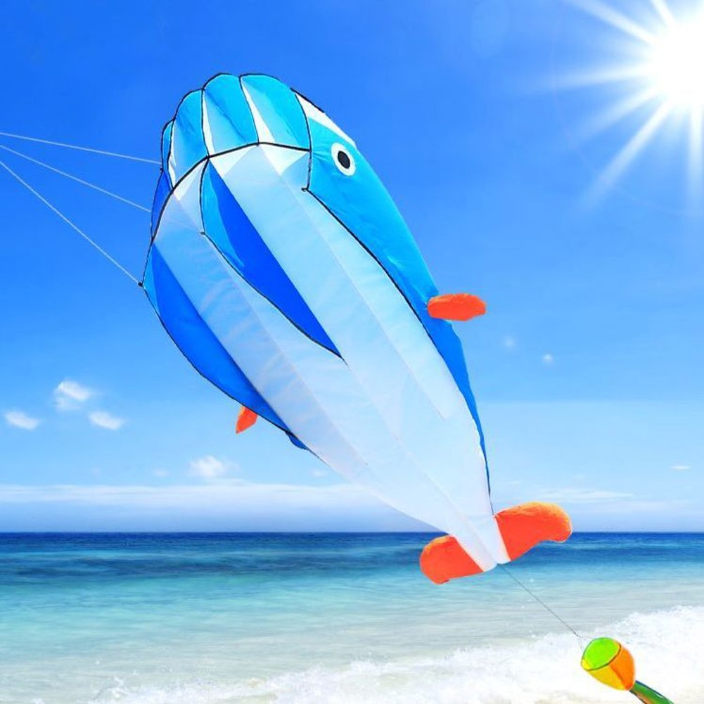 [오늘출발] 고래 와인더 비행하기 성인 동물모양연 날리기 최대 공작연 원 대형 룰렛 600미터