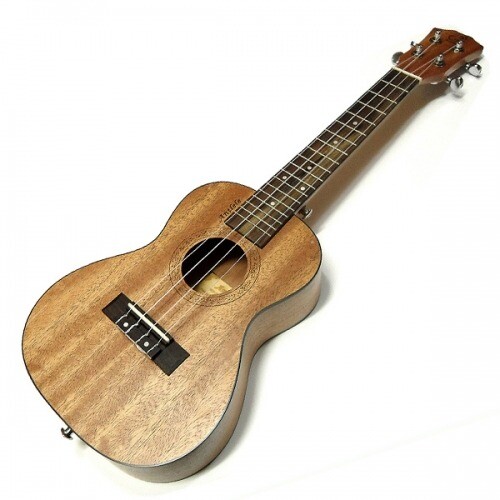 오봉 Antlele 콘서트 우쿨렐레