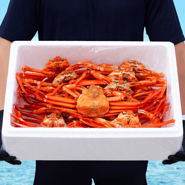 통큰수산 수율보장 프리미엄 홍게 연지홍게 당일조업 산지직송 당일배송 5kg