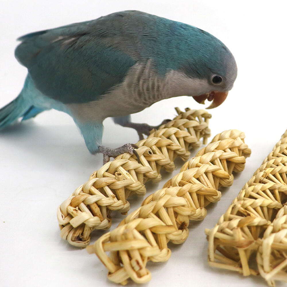 [오늘출발] 꽈배기 등나무 천연 앵무새 장난감 뜯기 입질 훈련 용품