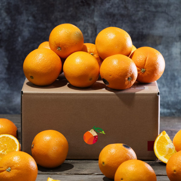 고당도 당도선별 오렌지 대과 4.7kg 20과