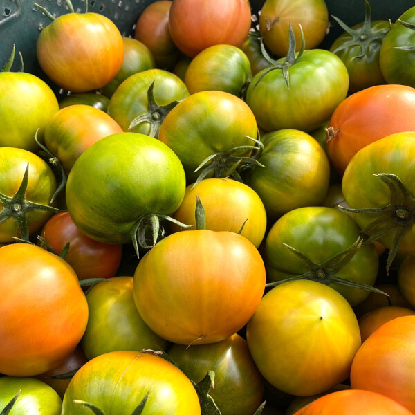 [롯데백화점](롯데백화점)부산 대저 찰토마토 중과(M) 2.5kg