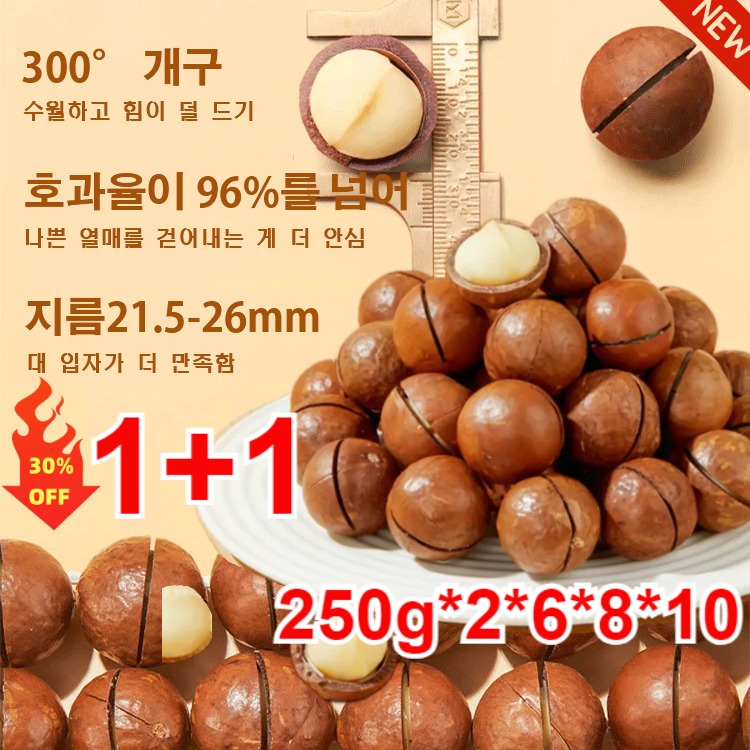 마카다미아 2+2/1+1 호주 다미아 다미아 (우유향) 장 건강에 좋다/뇌 에 대항한다 부작용